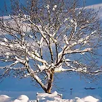 Bio Gesundheitshof Daxinger