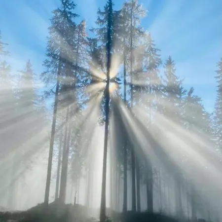 Bauernhof Bio Gesundheitshof Daxinger