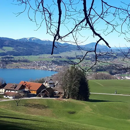 Bauernhof Bio Gesundheitshof Daxinger *