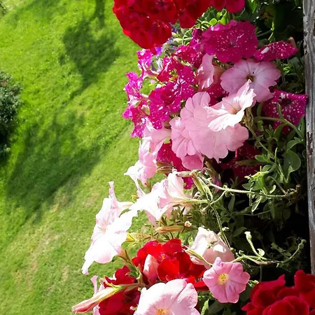 Bauernhof Bio Gesundheitshof Daxinger *