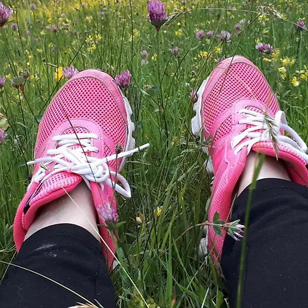 Bio Gesundheitshof Daxinger