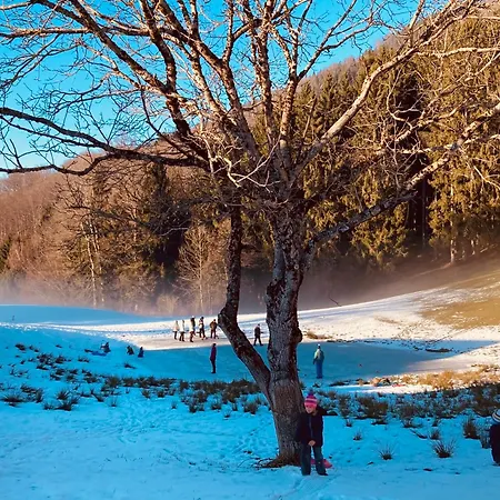 Bio Gesundheitshof Daxinger Bauernhof