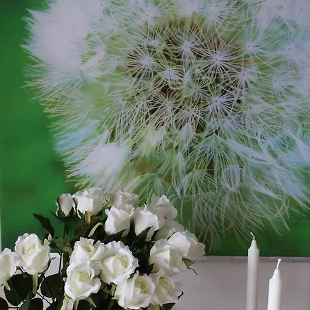 Bio Gesundheitshof Daxinger * Mondsee