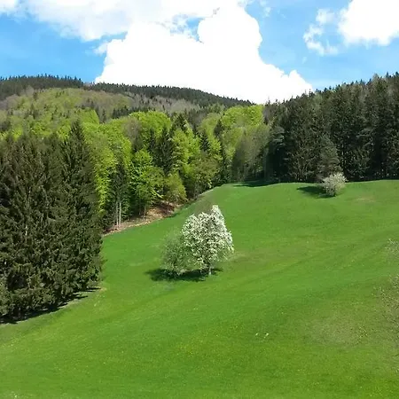 Bauernhof Bio Gesundheitshof Daxinger