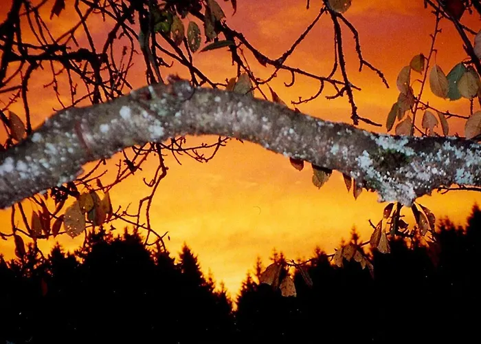 Bio Gesundheitshof Daxinger Farmház