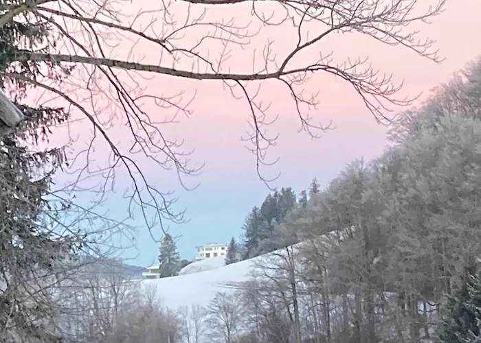 Bio Gesundheitshof Daxinger Фермерский дом