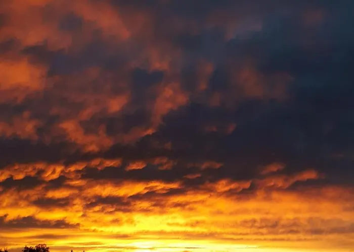 Çiftlik konaklama Bio Gesundheitshof Daxinger *