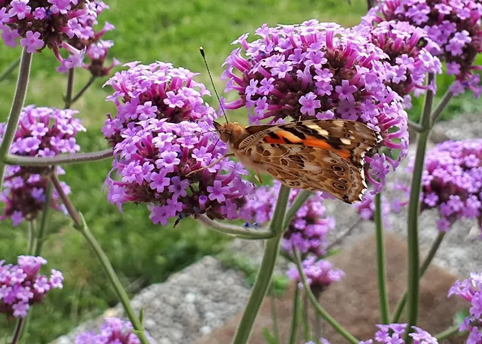 Bio Gesundheitshof Daxinger Vakantieboerderij *