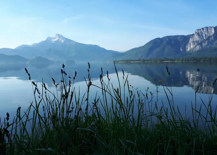 Bio Gesundheitshof Daxinger * Mondsee
