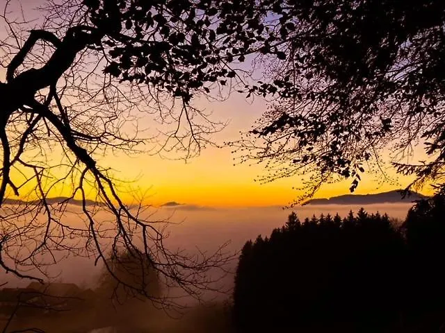 Bio Gesundheitshof Daxinger Фермерский дом Мондзее