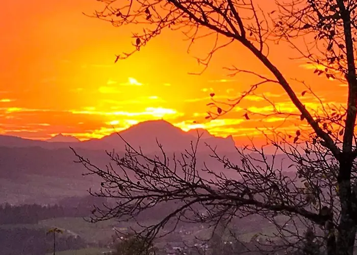 Çiftlik konaklama Bio Gesundheitshof Daxinger *