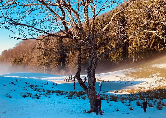 Bio Gesundheitshof Daxinger Фермерский дом