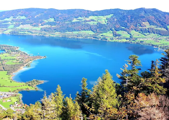 Bio Gesundheitshof Daxinger *