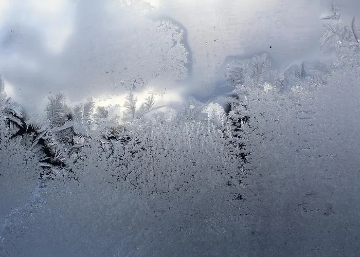 Bio Gesundheitshof Daxinger Çiftlik konaklama