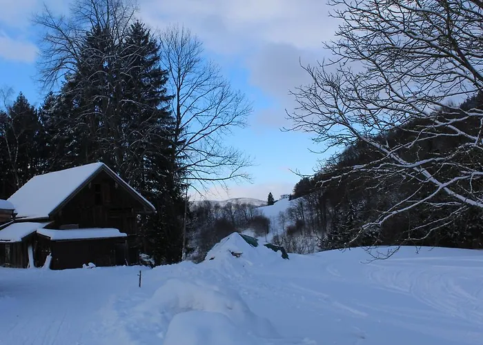 Bio Gesundheitshof Daxinger Çiftlik konaklama Mondsee