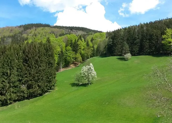 Çiftlik konaklama Bio Gesundheitshof Daxinger