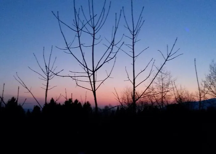 Bio Gesundheitshof Daxinger Çiftlik konaklama Mondsee