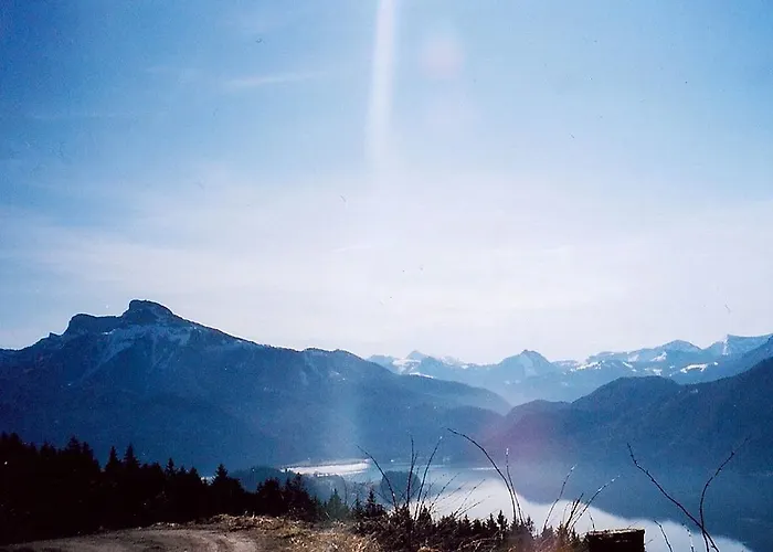Alojamento de Turismo Rural Bio Gesundheitshof Daxinger *