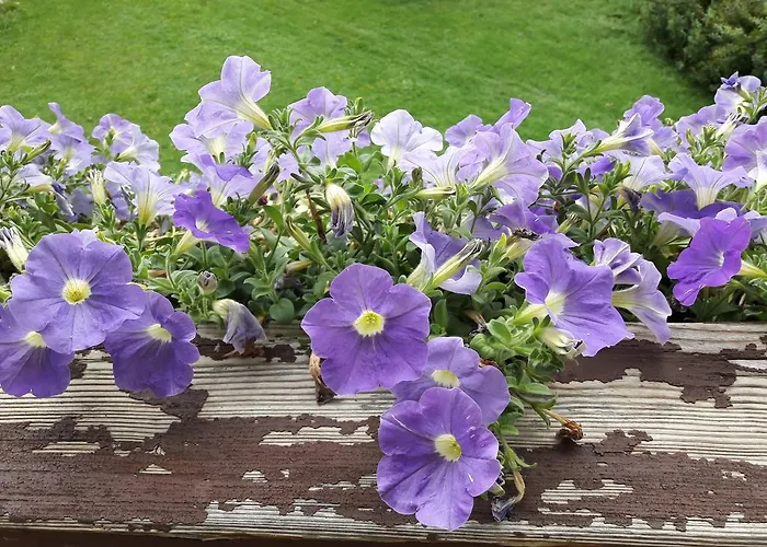 Bio Gesundheitshof Daxinger *