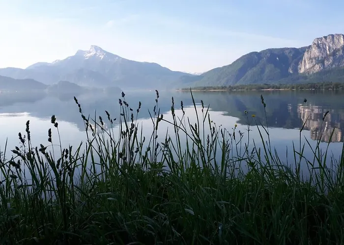 Bio Gesundheitshof Daxinger *