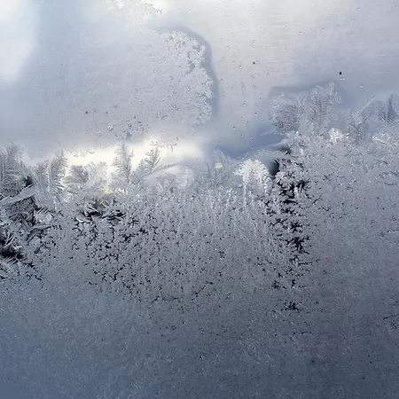 Bio Gesundheitshof Daxinger Séjour à la ferme