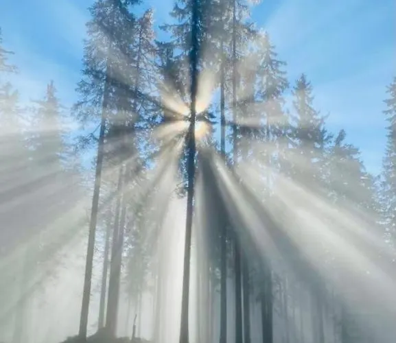 مزرعة للإقامة Bio Gesundheitshof Daxinger