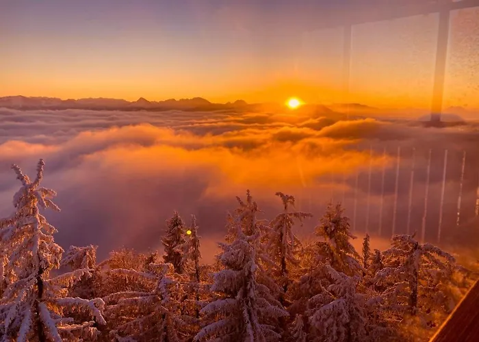 مزرعة للإقامة Bio Gesundheitshof Daxinger موندزي