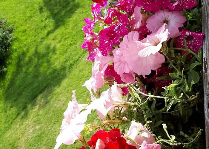 مزرعة للإقامة Bio Gesundheitshof Daxinger *