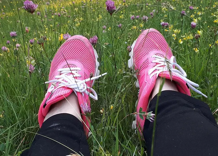 Bio Gesundheitshof Daxinger