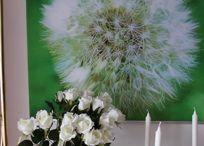 Bio Gesundheitshof Daxinger * موندزي