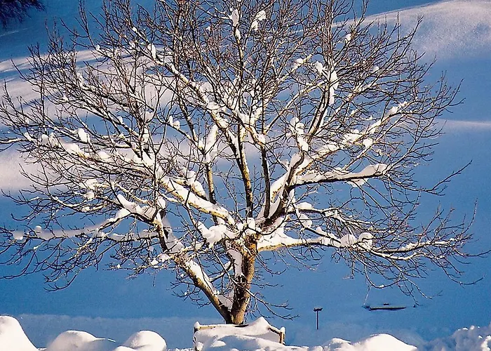 Bio Gesundheitshof Daxinger