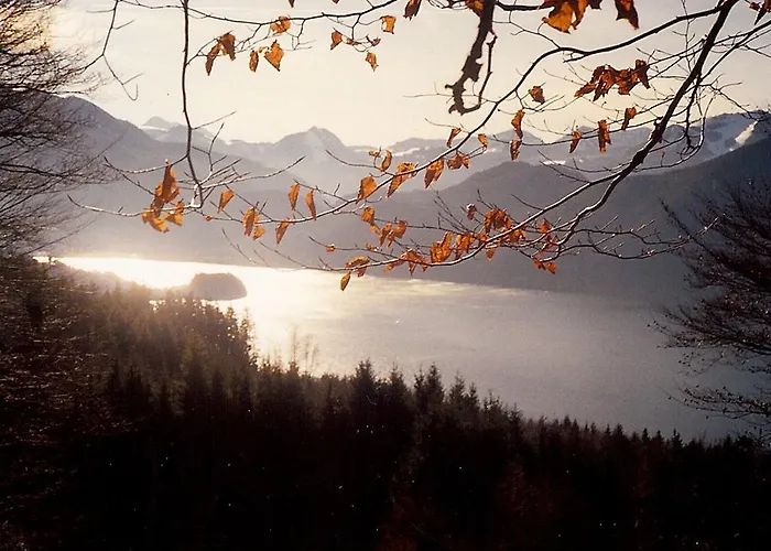 مزرعة للإقامة Bio Gesundheitshof Daxinger