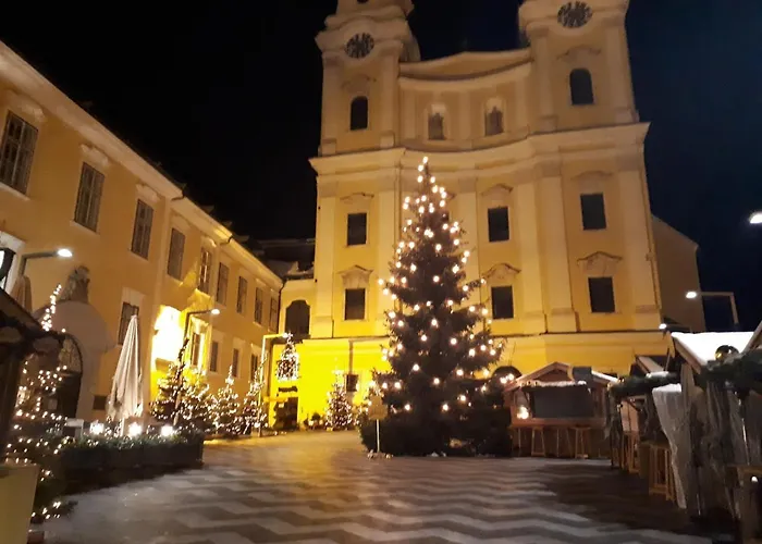 Bio Gesundheitshof Daxinger مزرعة للإقامة موندزي