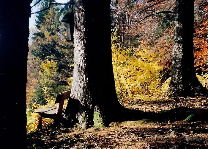 Bio Gesundheitshof Daxinger موندزي